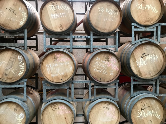 Oak barrels holding Chardonnay.