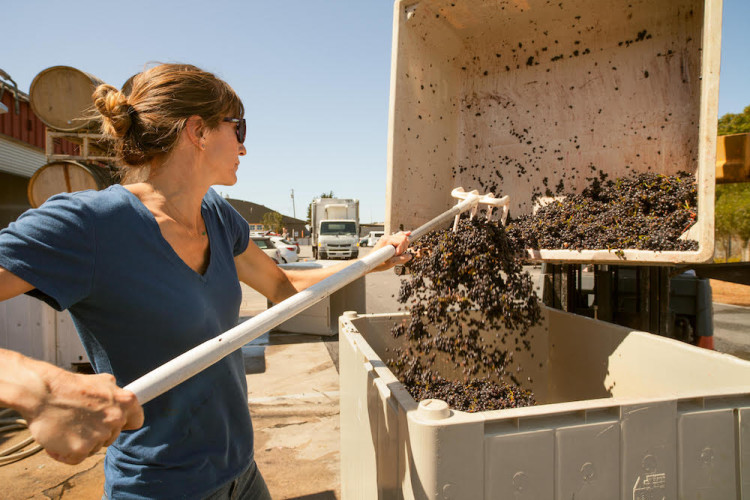 Nicole Walsh doing her thing. Photo credit: Wildu.co
