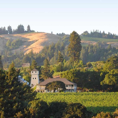 Anderson Valley Wine Guide: A Weekend in Mendocino’s Wine Country feat. Handey Cellars