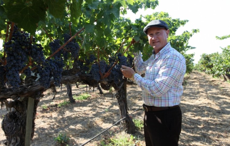 Mark Lyon, founder of Eco Terreno Wines in the vineyard.