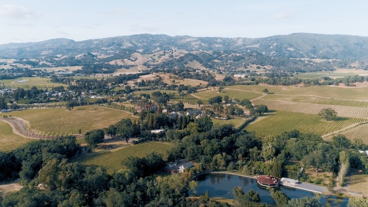 Campovida Wines Property