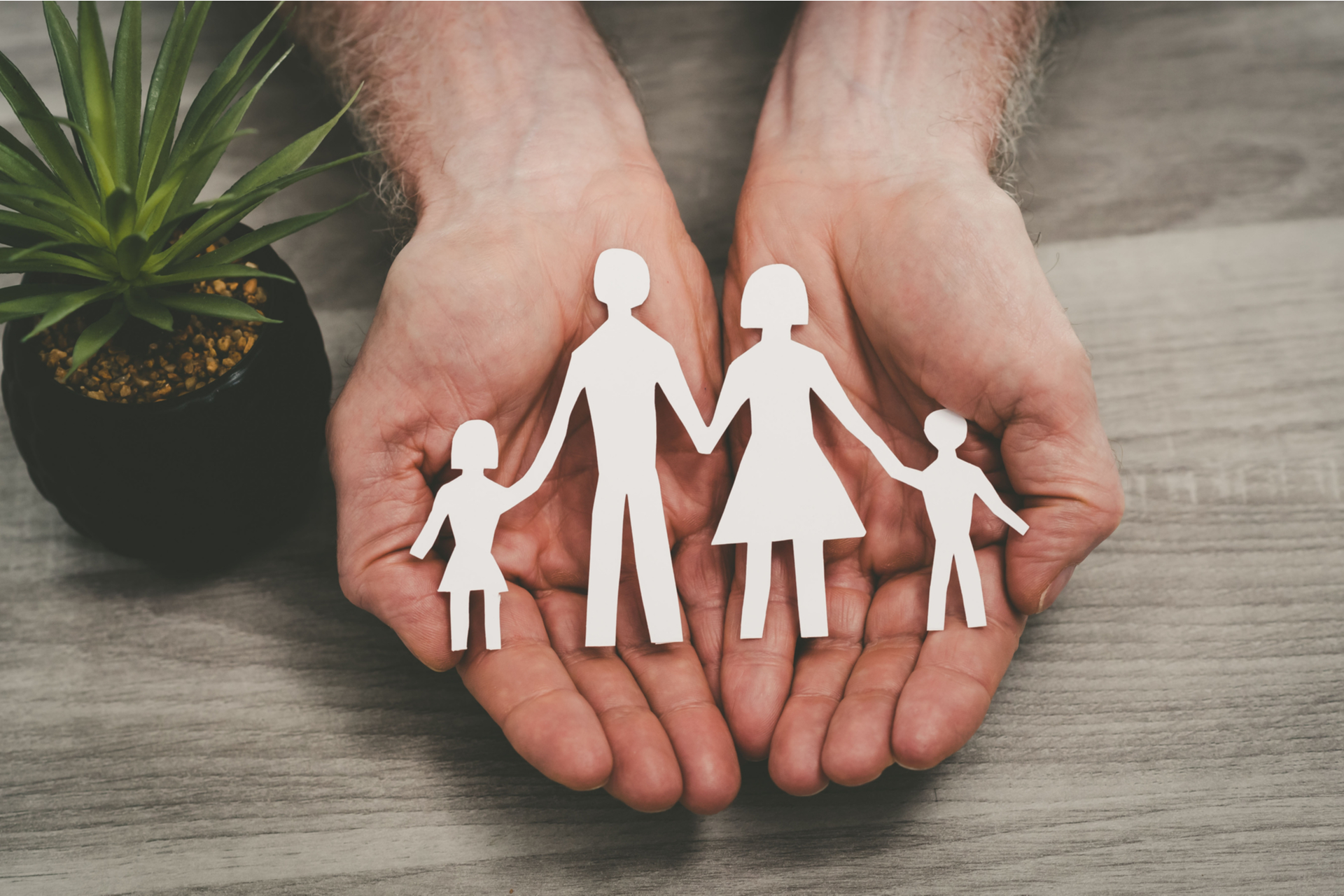 Die Kündigung der eigenen Lebensversicherung