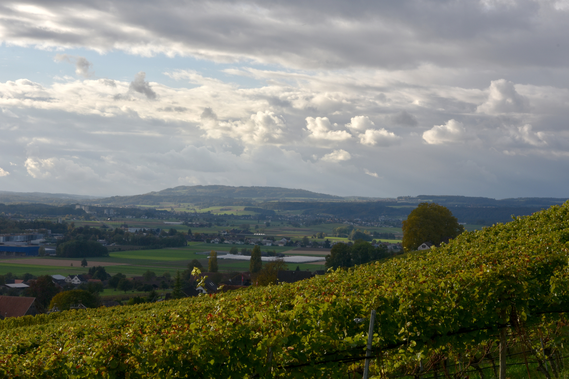 Abwechslungsreiche Wanderwege im Thurgau: Die Top 5
