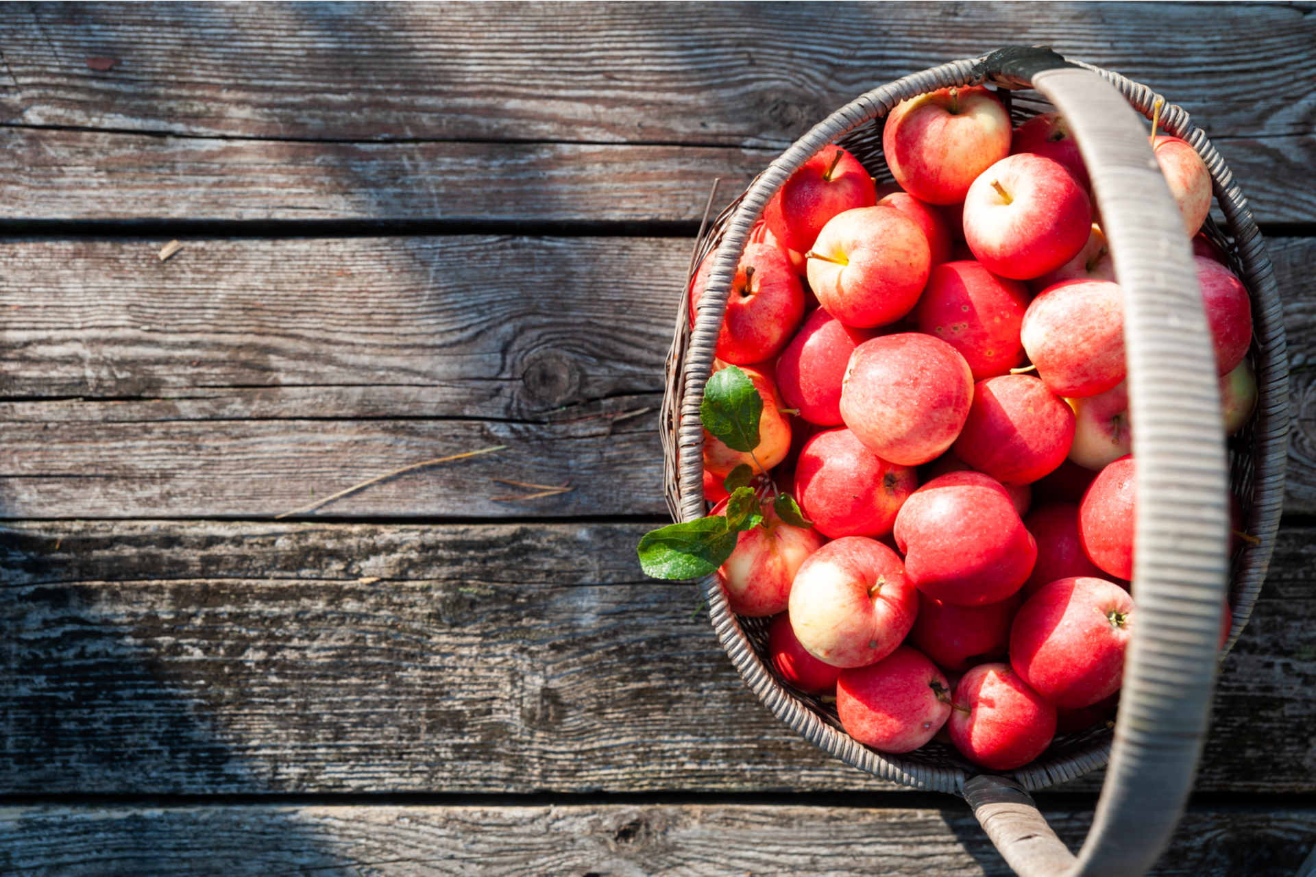 Äpfel lagern: So geht es richtig