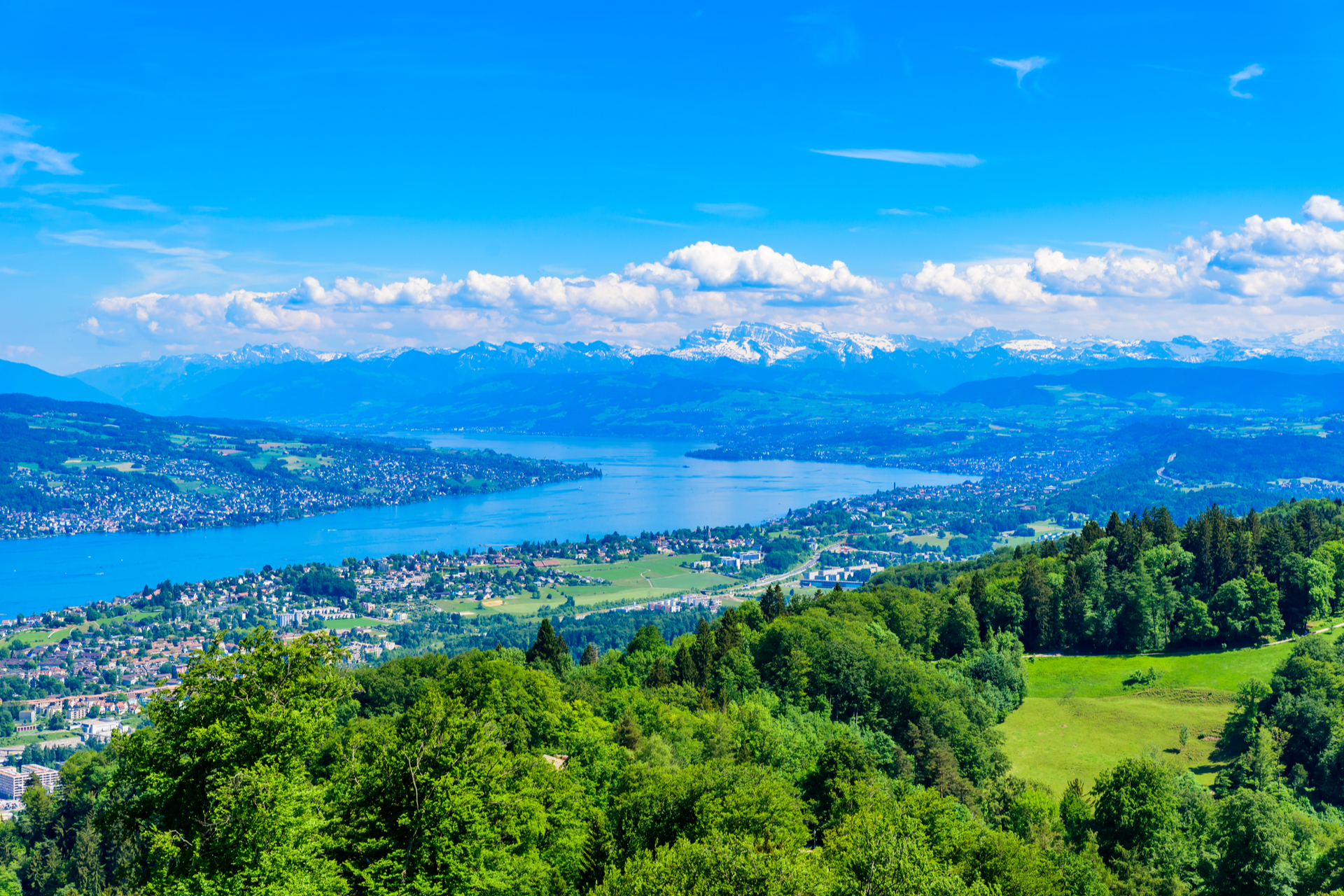 Wanderwege in Zürich – die Top 5