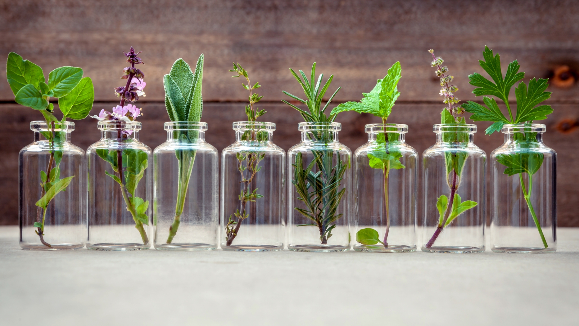 Helferchen aus der Natur für Gesundheit und Fitness