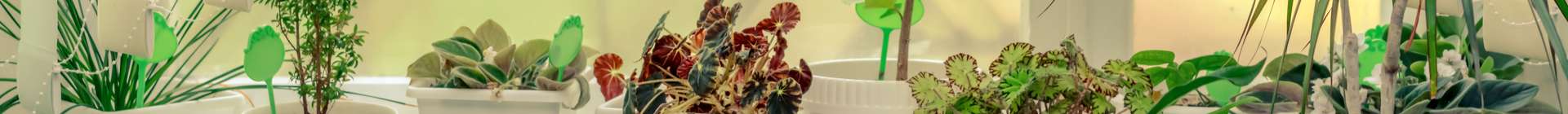 Wohnen & Garten Header