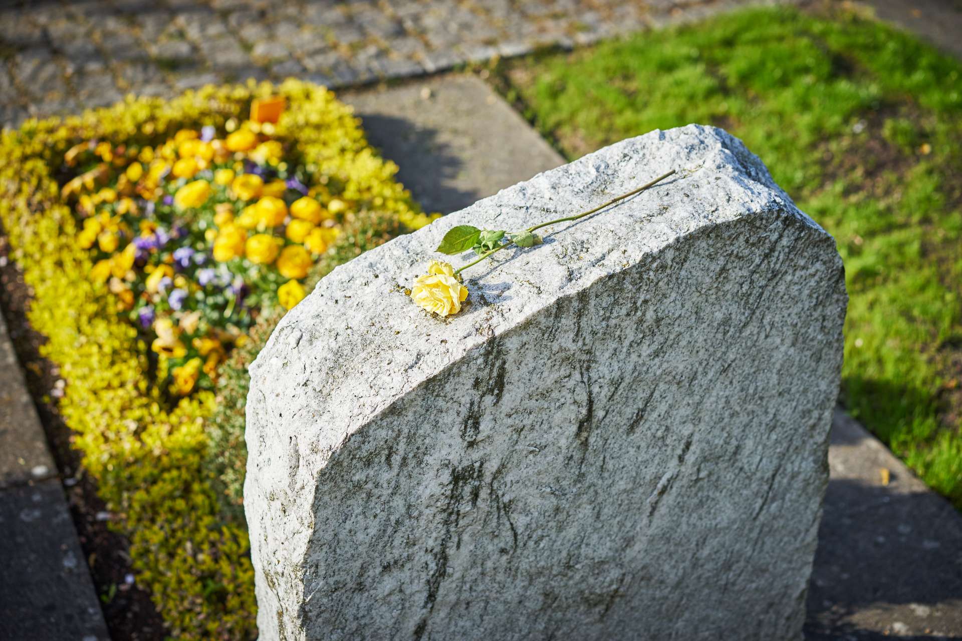 Schöne Grabbepflanzung für Sommer und Winter