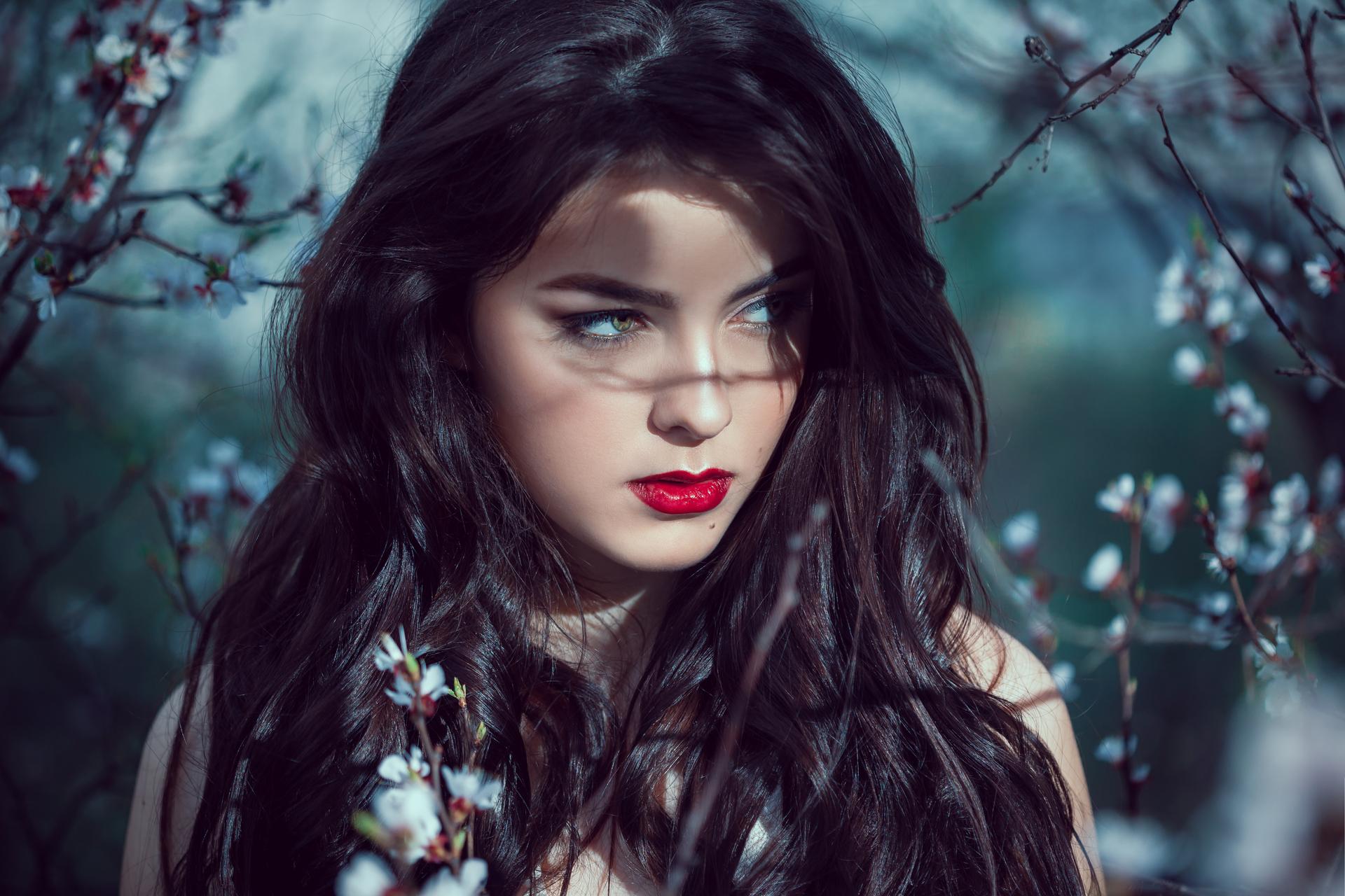 Kraft der Mondphasen