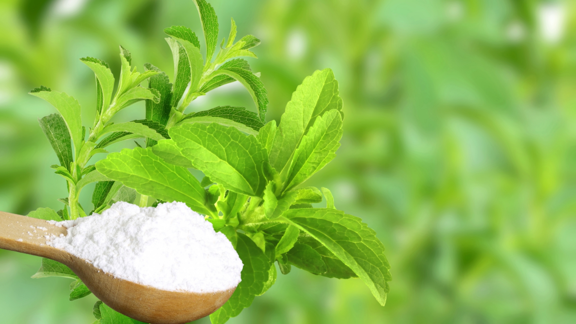 Höchstens 25 Gramm am Tag