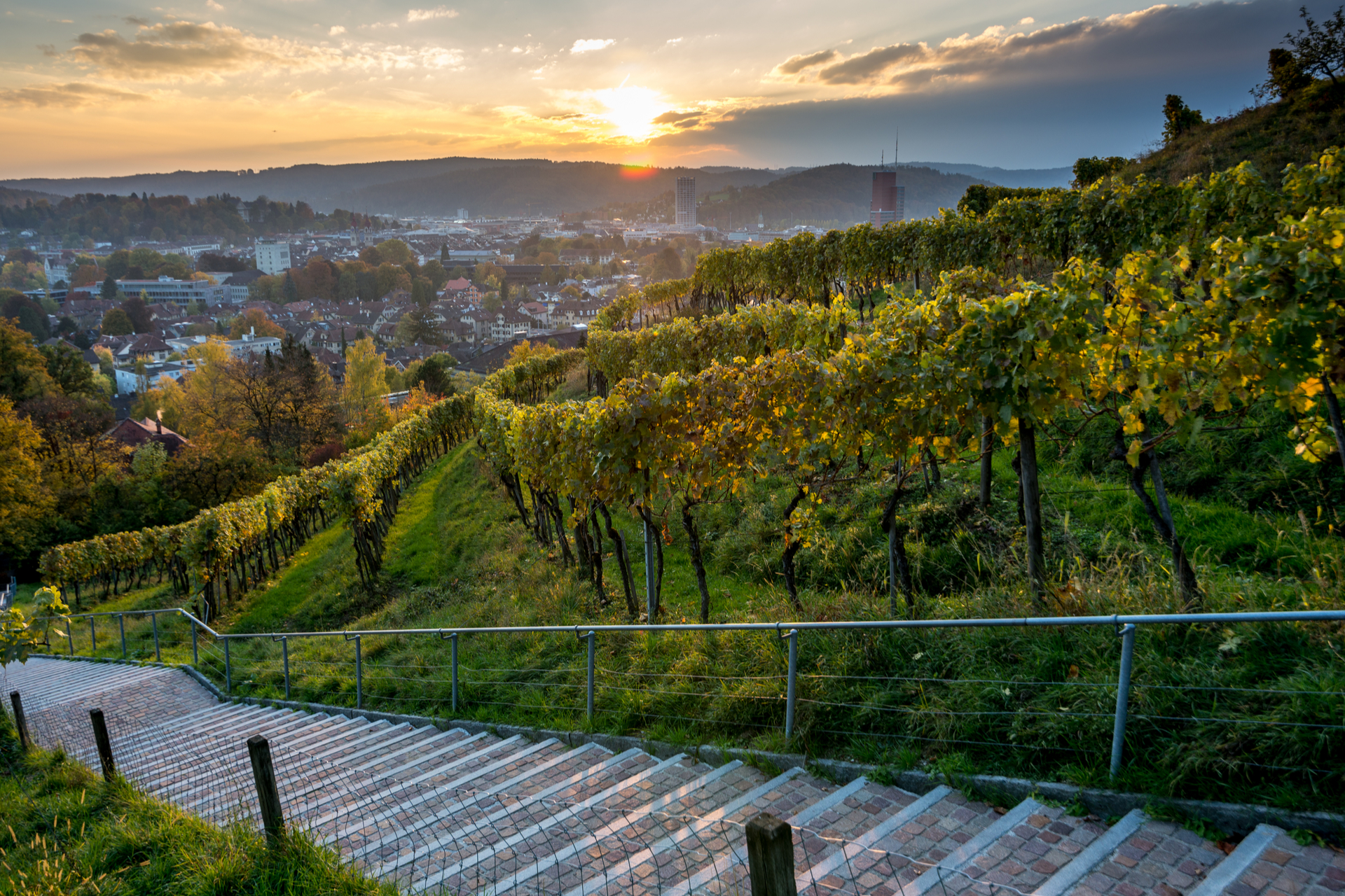 Bouldern in Winterthur: Diese 3 Top sind zu empfehlen
