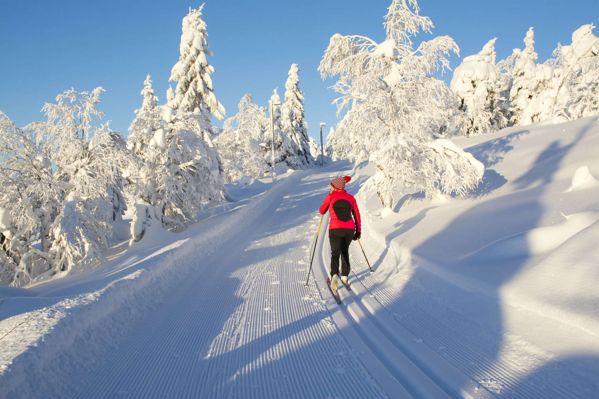 Die schönsten Routen für den Langlauf in Schwyz
