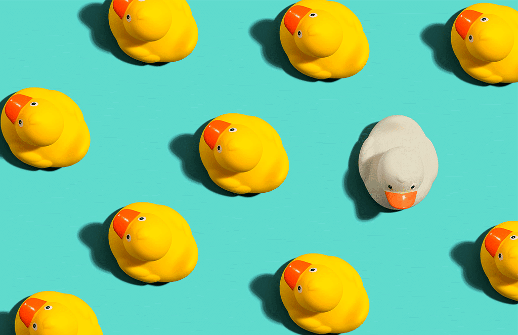 1 white rubber duck amongst a collection of yellow rubber ducks