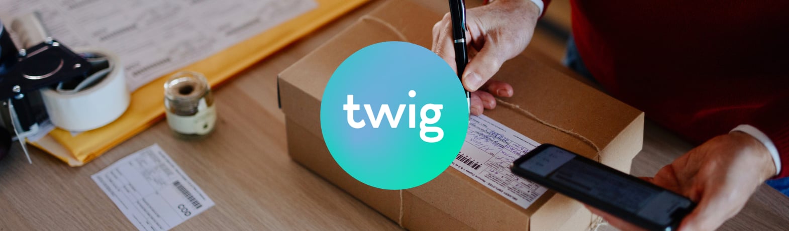 Banner image for content hub page: How Does Twig Work?