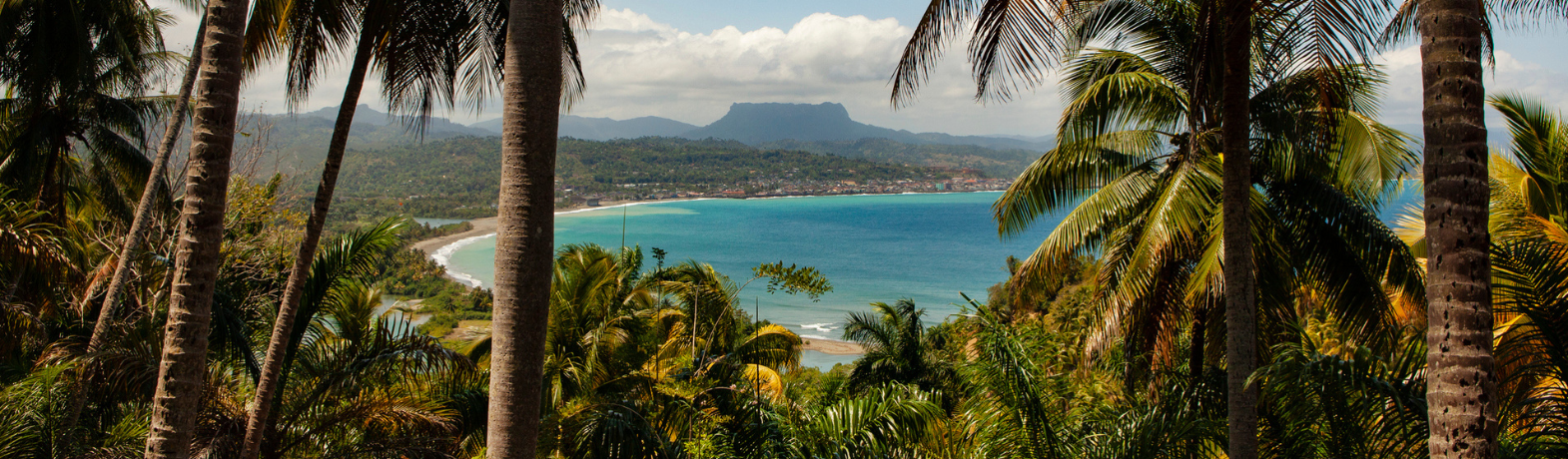 Caribbean blue water and treeline.