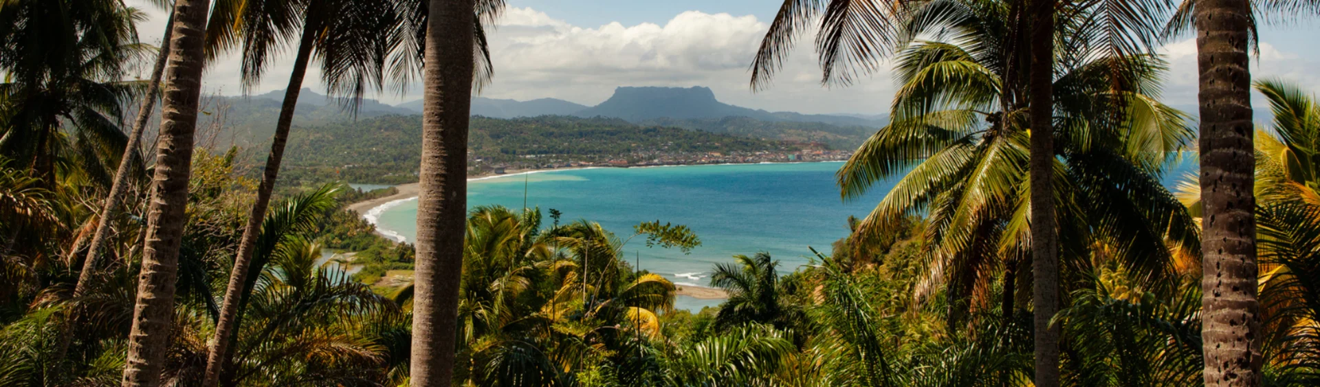 Caribbean blue water and treeline.