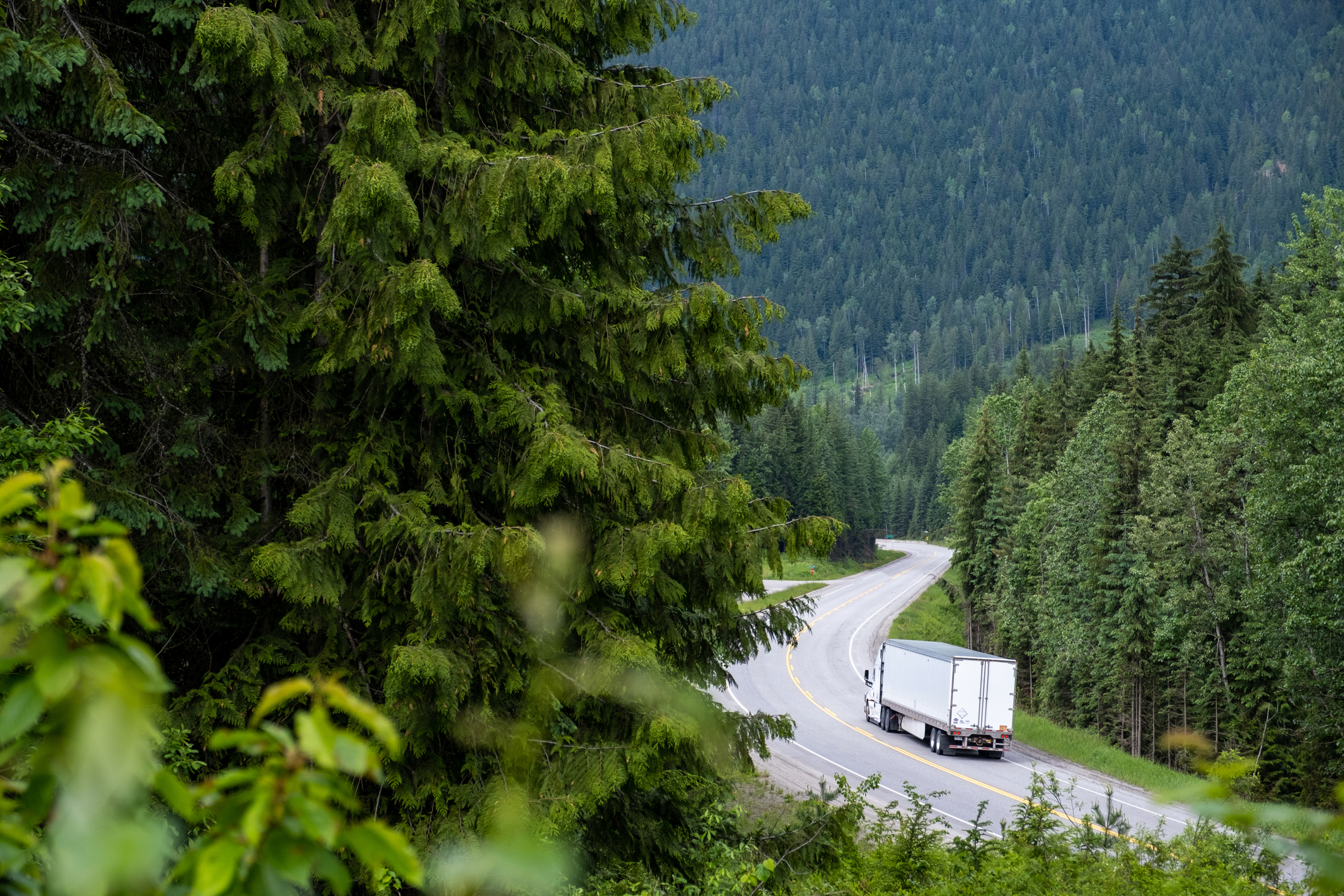 White lorry driving down an open road surrounded by trees and forestry.