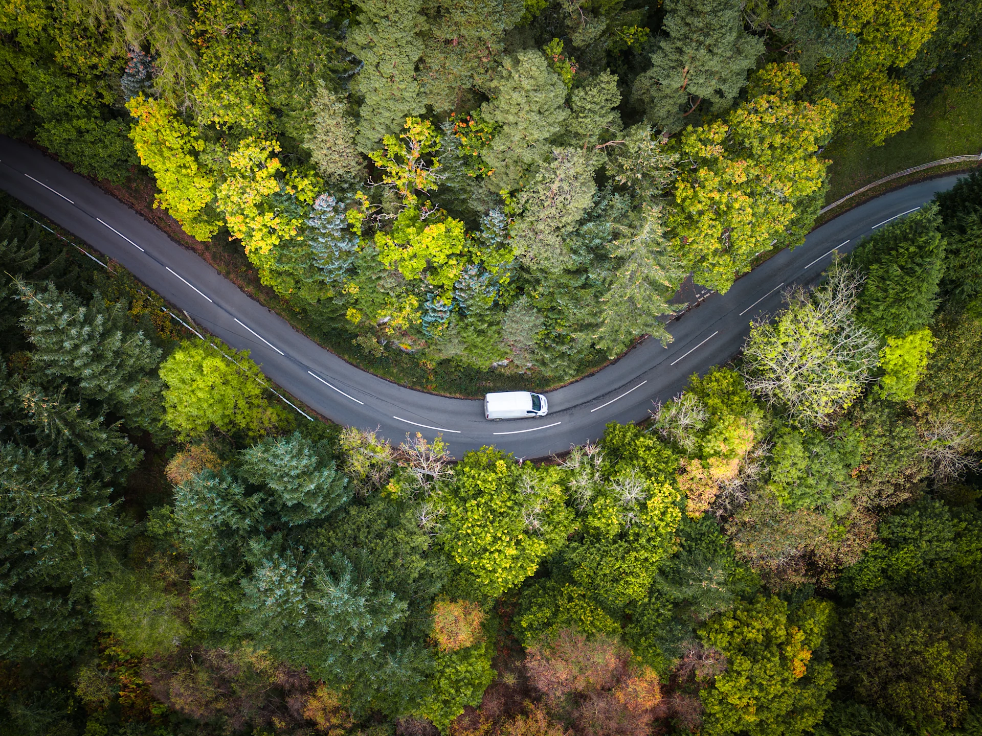 White van driving through a winding road surrounded by lots of green forestry.