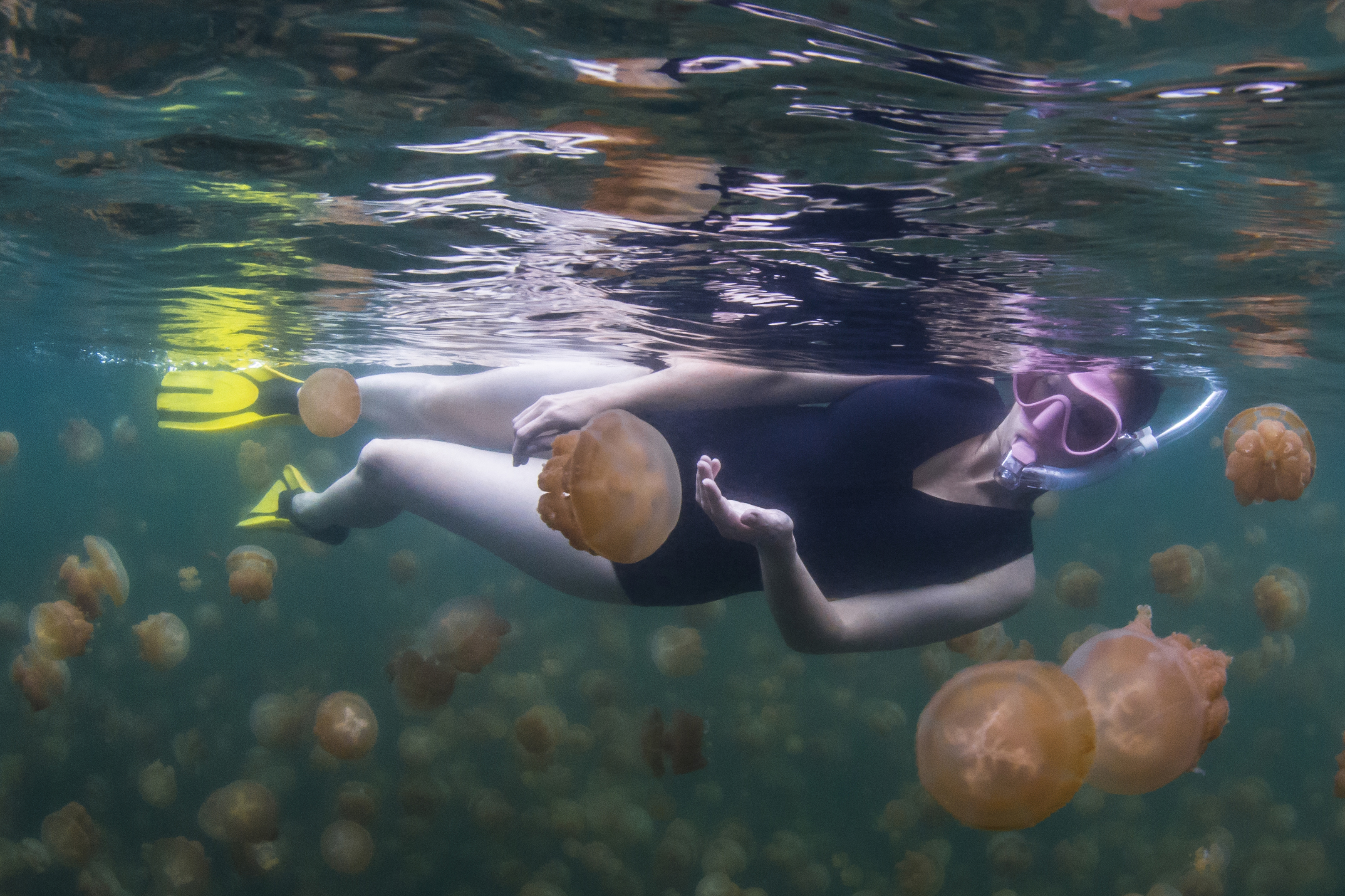Woman swimming in Jellyfish Lake in Rock Islands, Palau