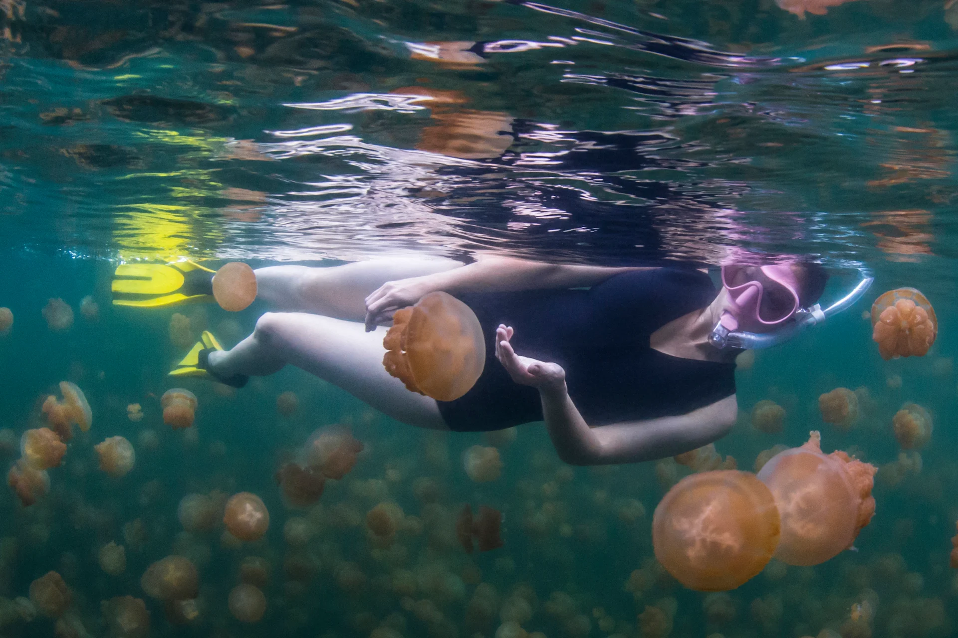 Woman swimming in Jellyfish Lake in Rock Islands, Palau