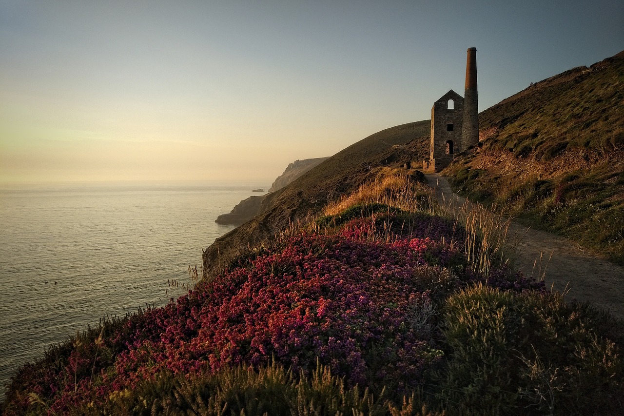 A mixture of colourful flowers on the Cornwall coast during a sunset