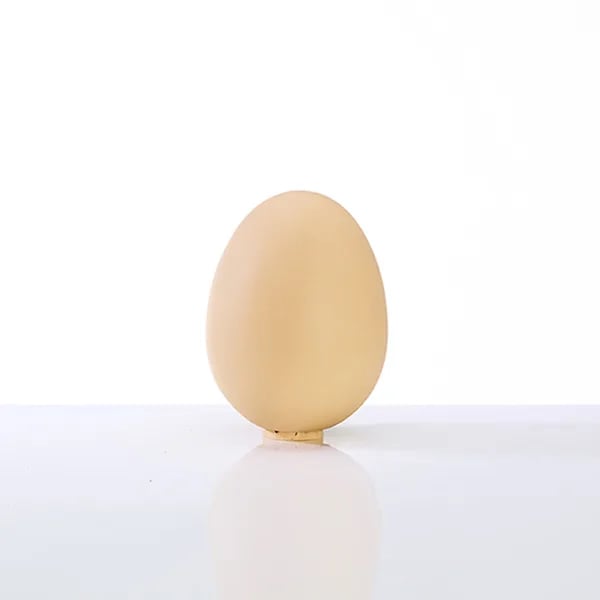 image for content hub page: [object Object]