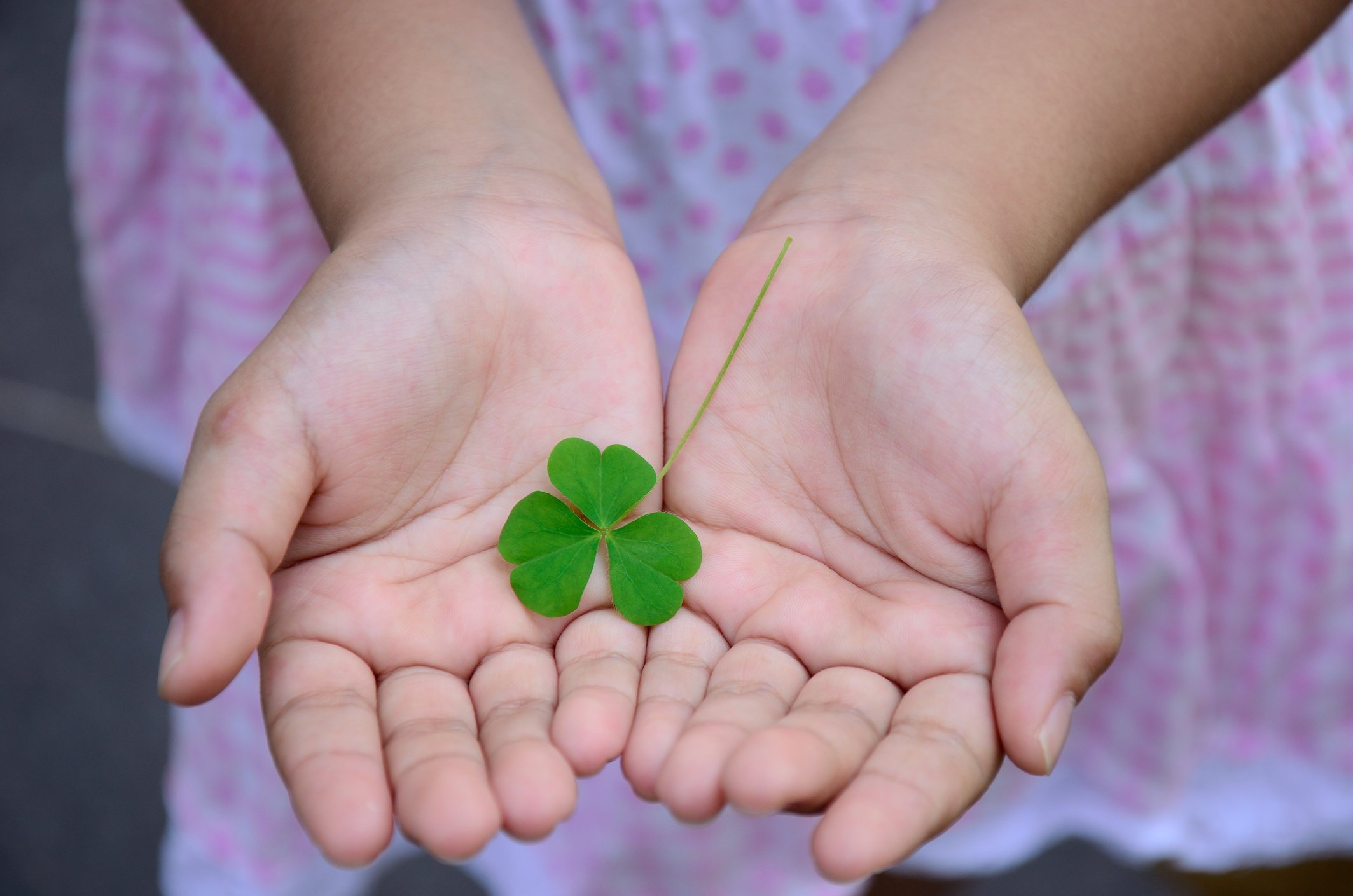 image for content hub page: [object Object]