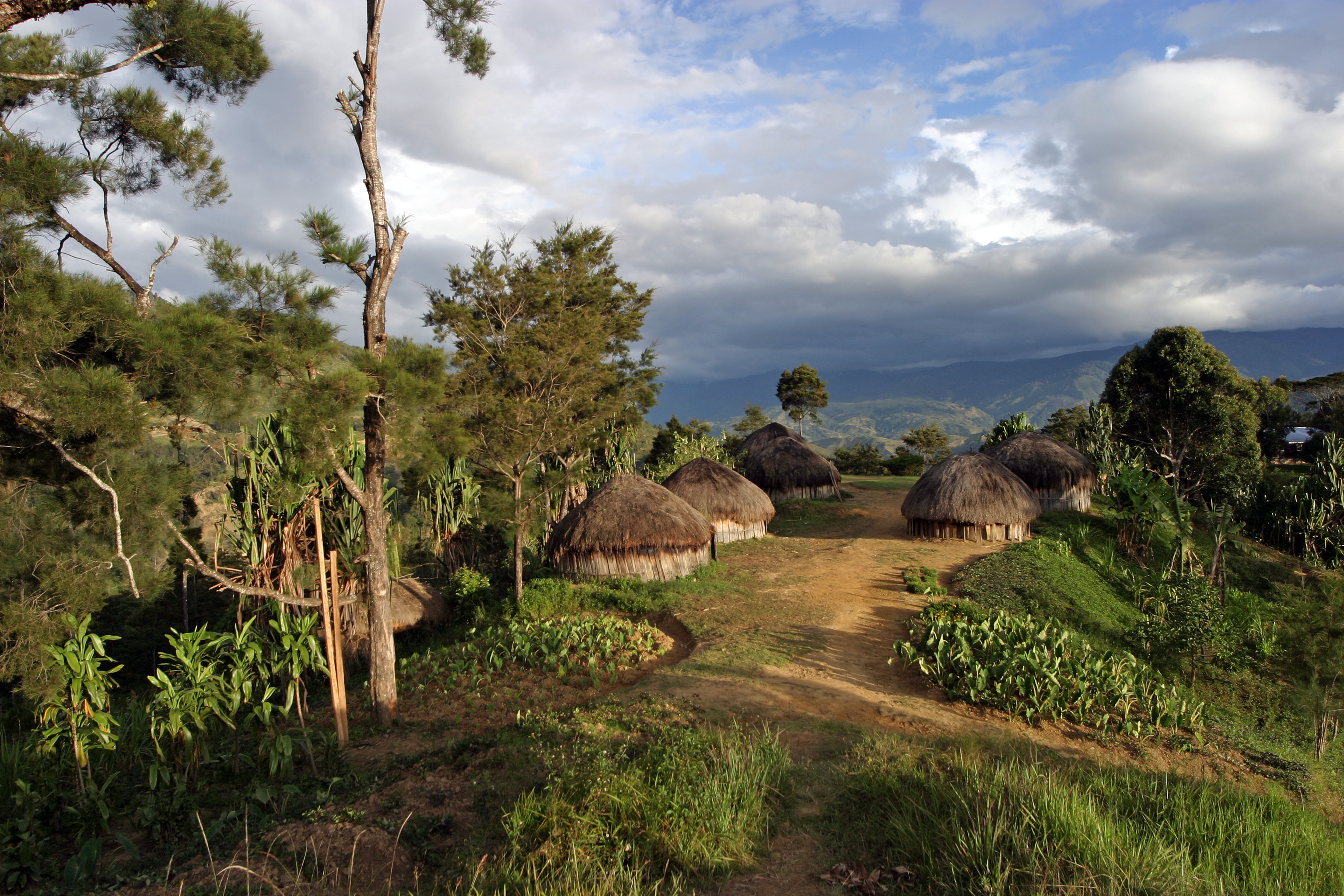 Image of traditional huts in a traditional village in Papua New Guinea.