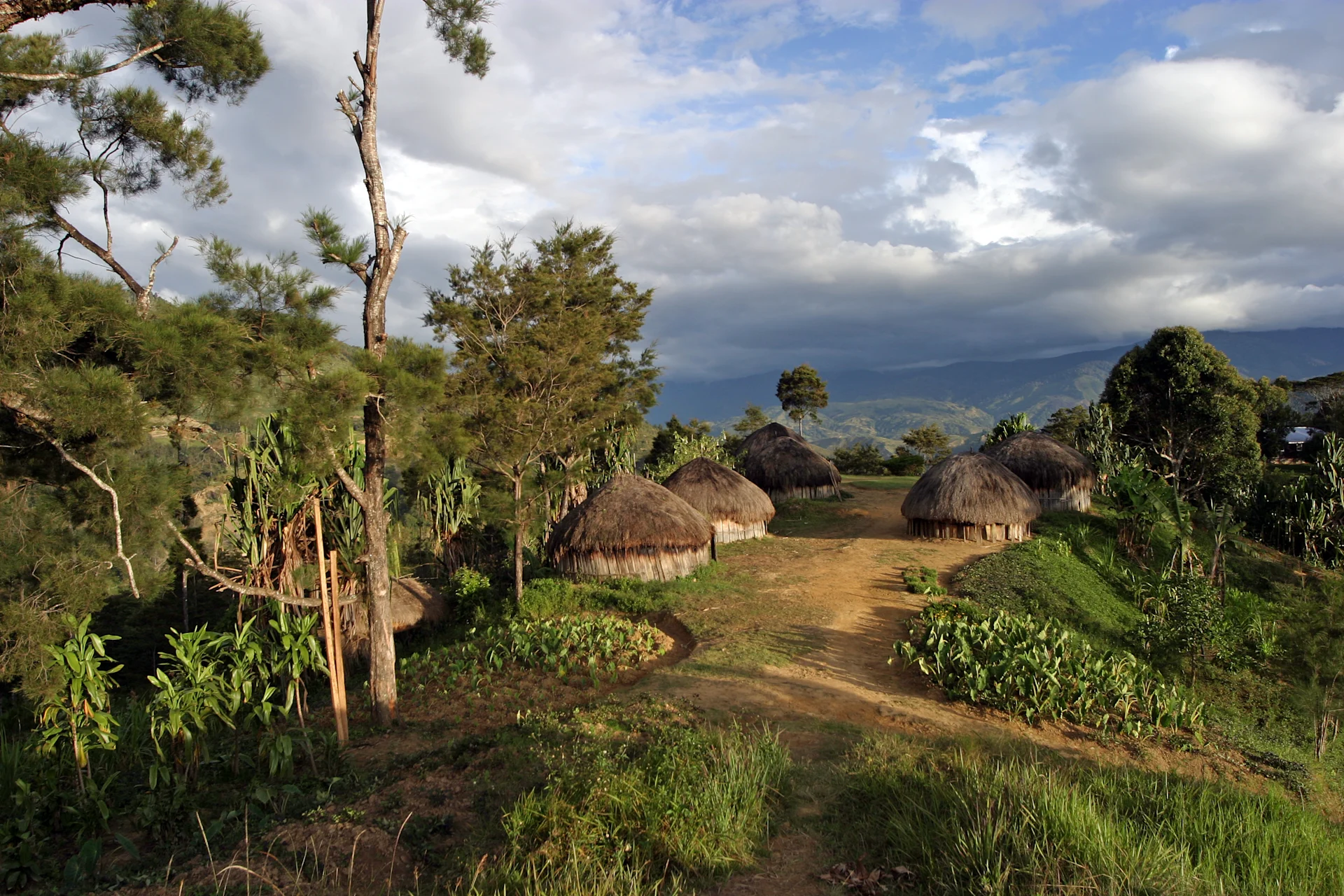 Image of traditional huts in a traditional village in Papua New Guinea.
