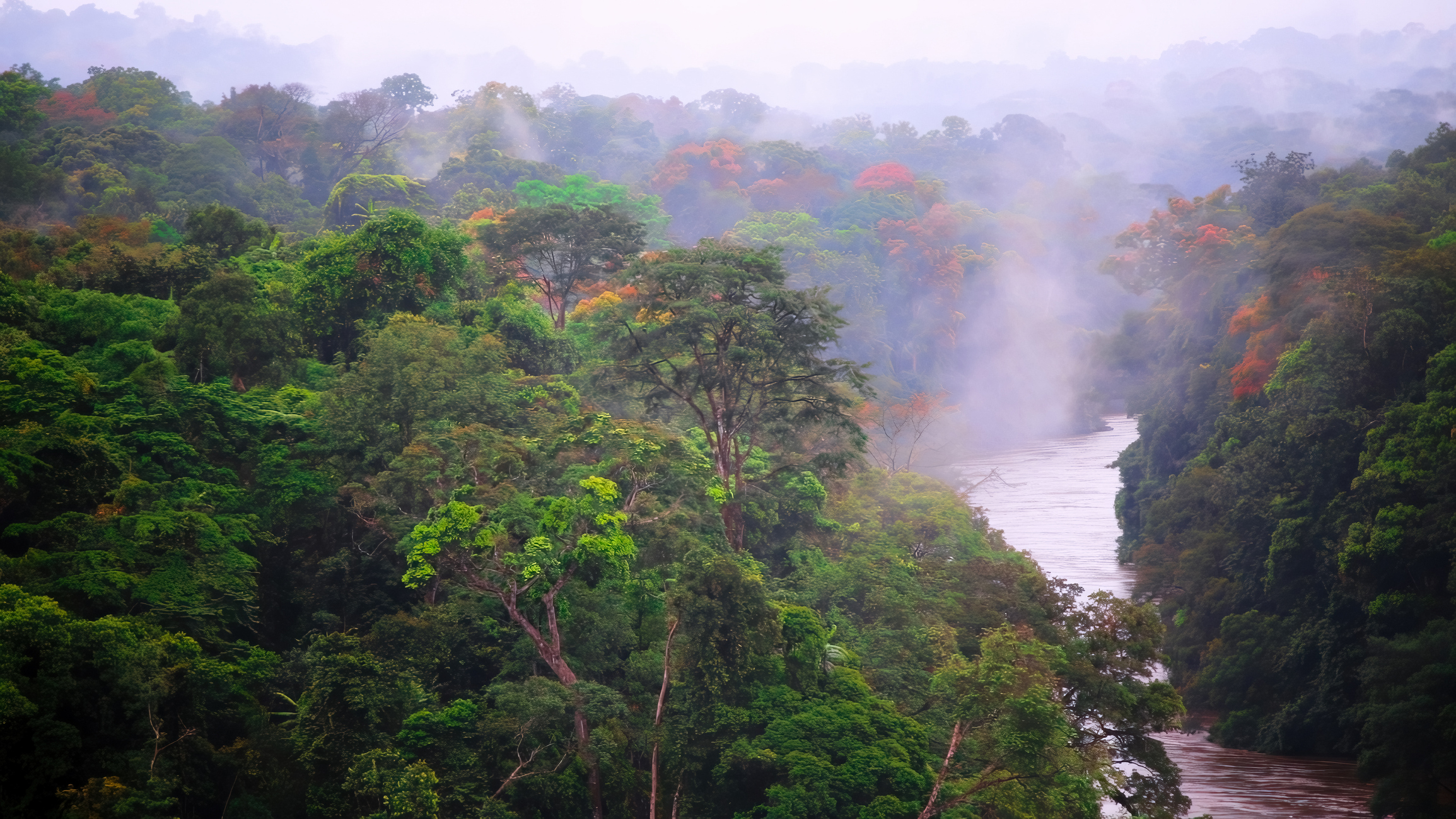 Fog over the trees in Equatorial Guinea