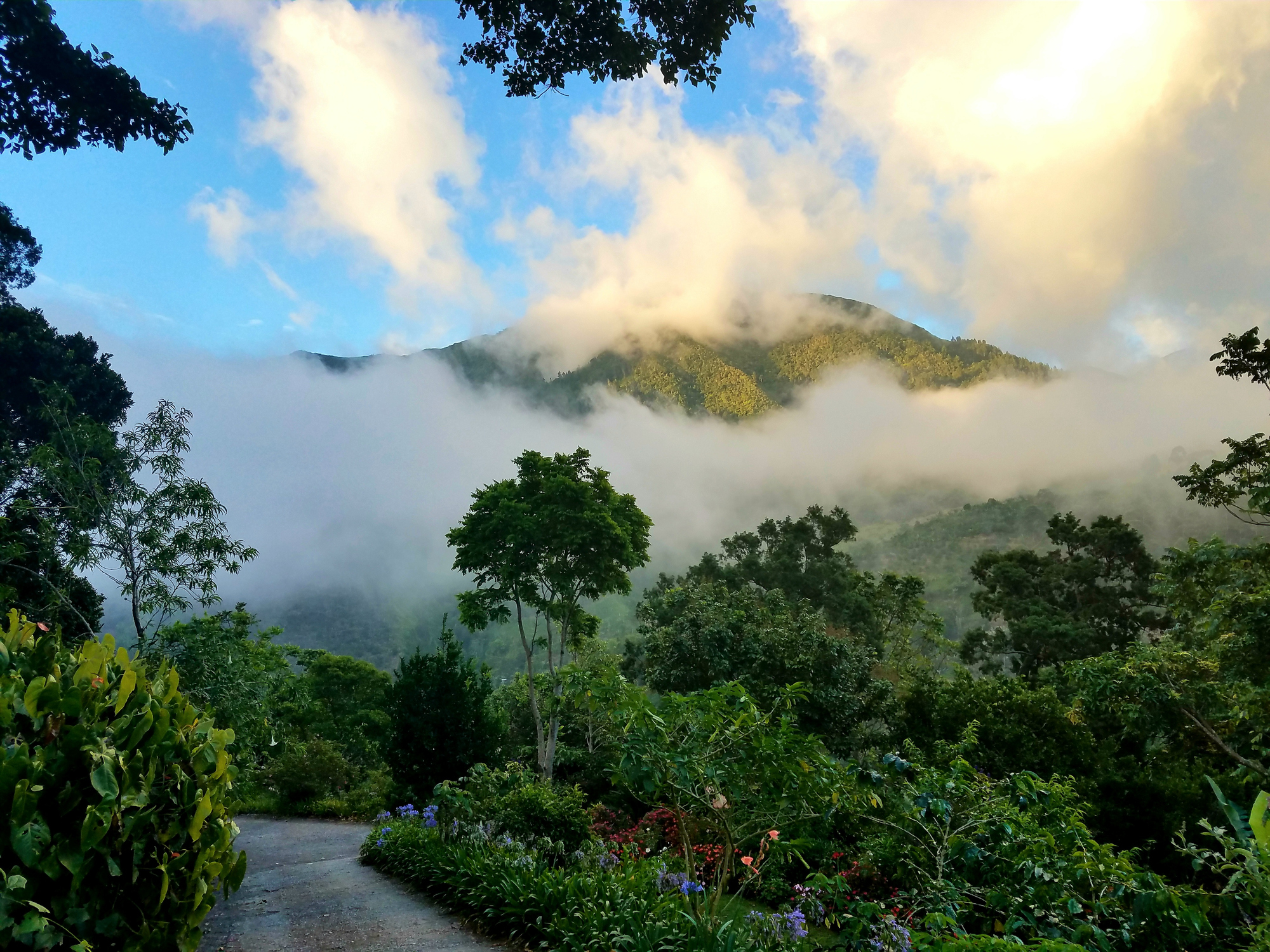 Image of clouds within the Jamaica Blue Mountains