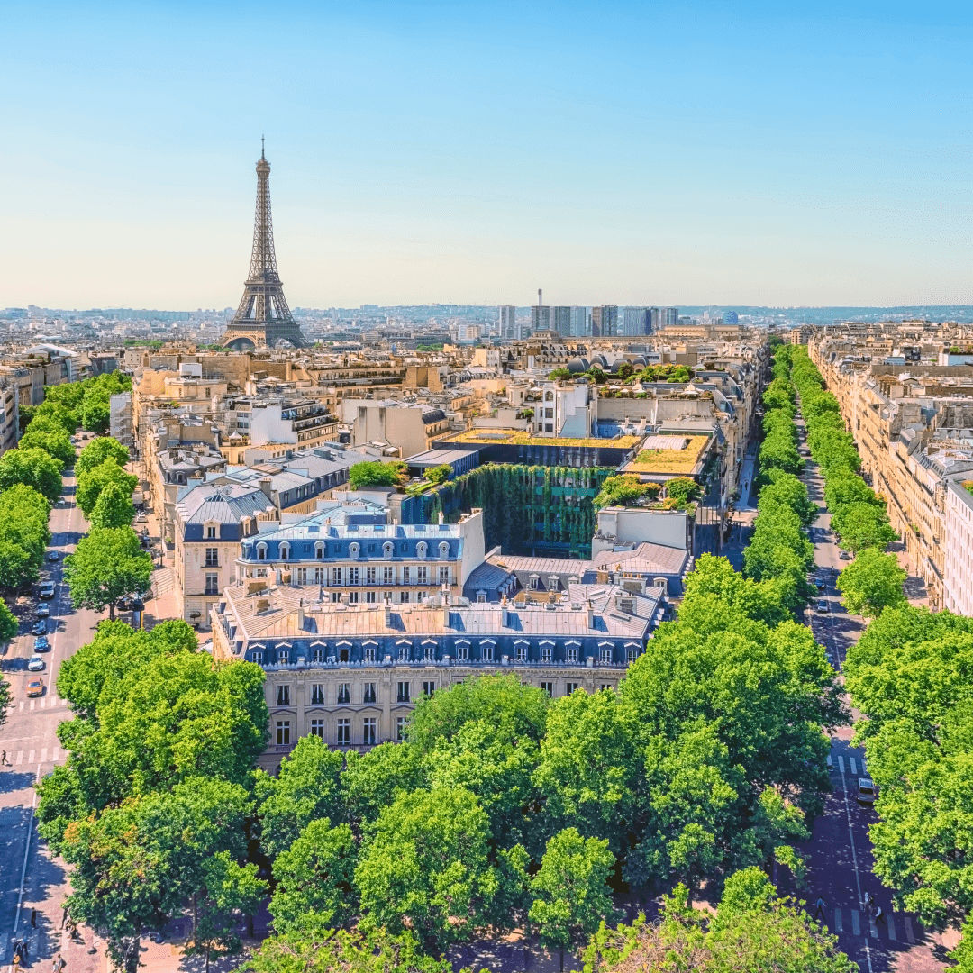 Paris from above