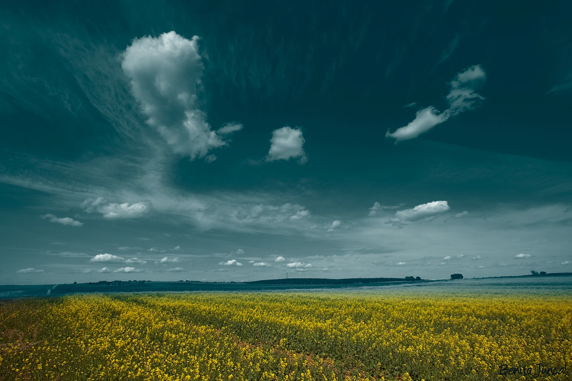 Campos verdes y amarillos con nubes encima.
