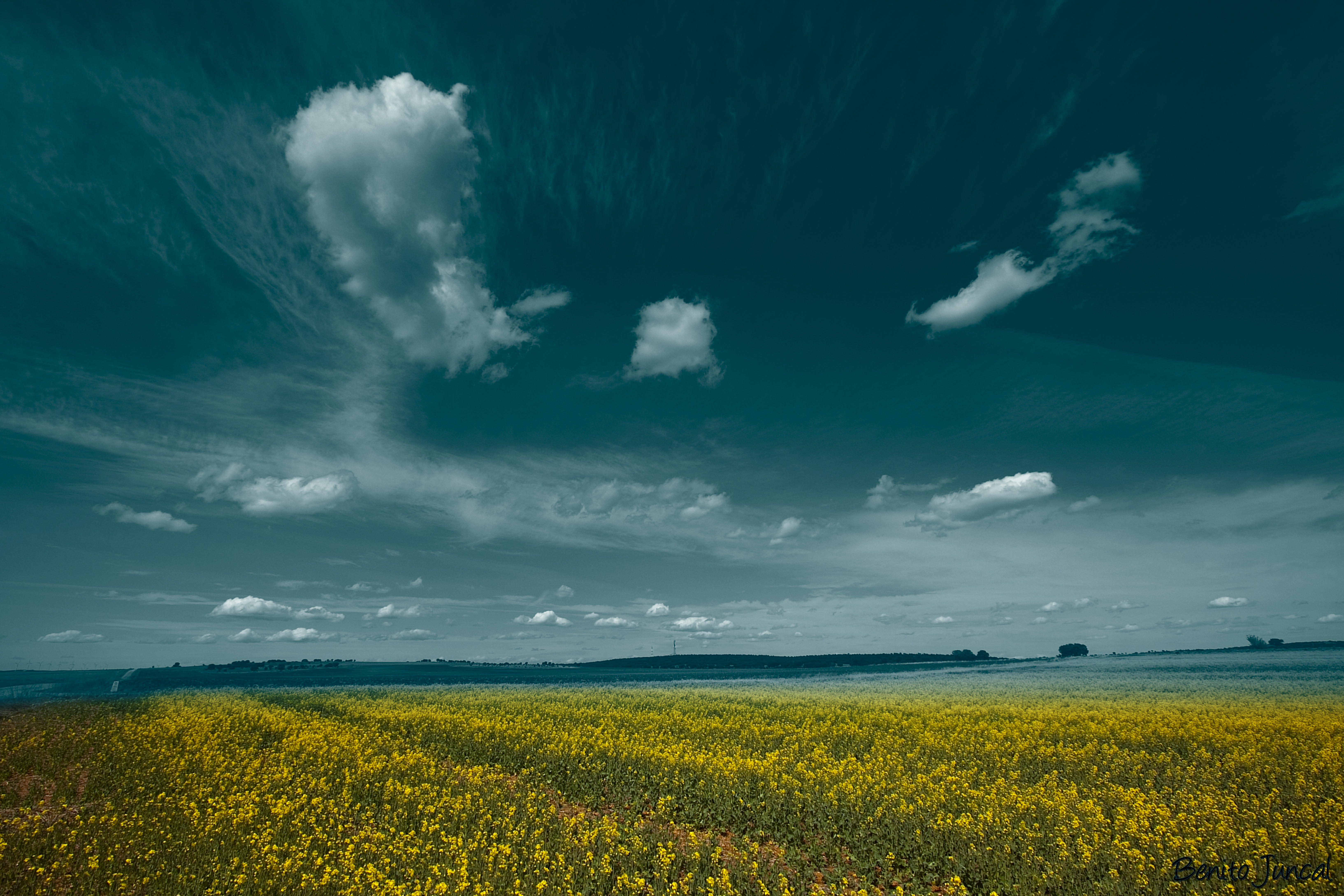Green and yellow fields with clouds above.