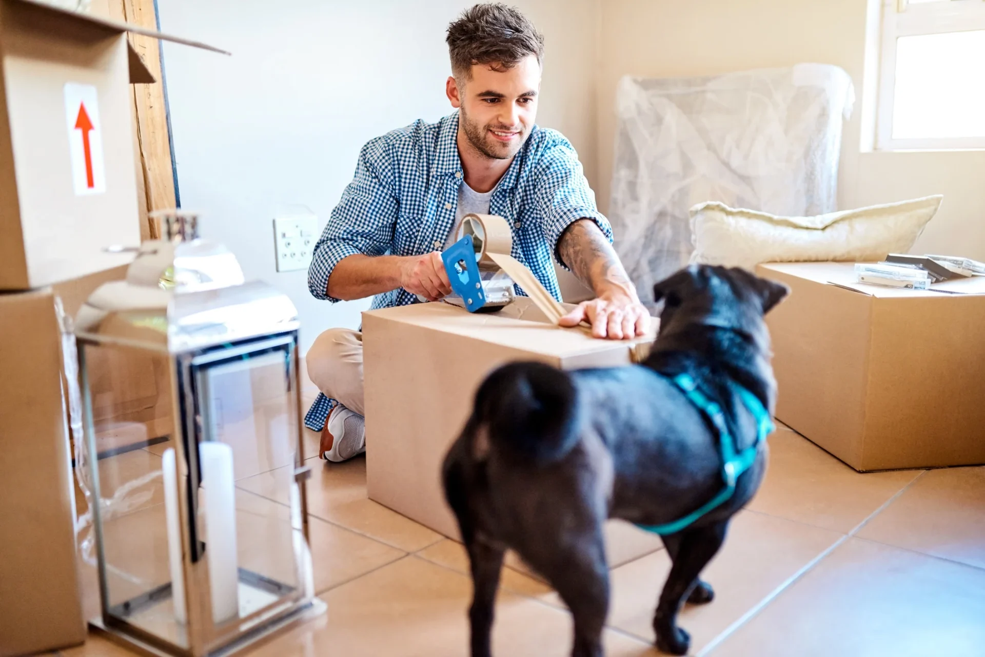 Man with parcel tape packaging up boxes in his home with his black pug dog