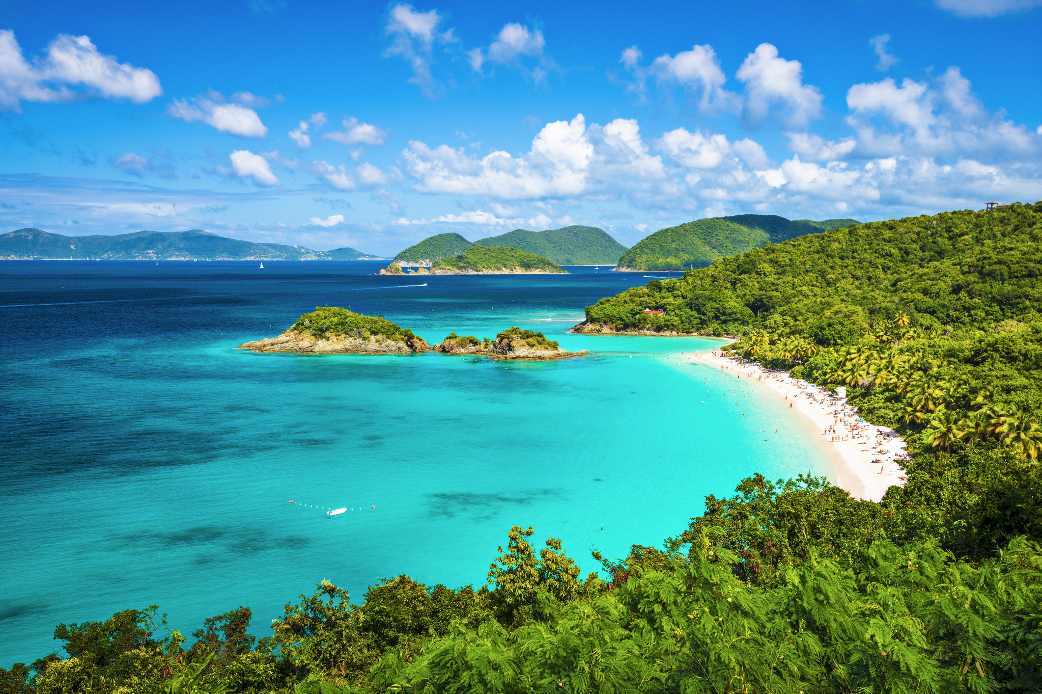 Bright blue sea surrounded by vibrant greenery in the US Virgin Islands