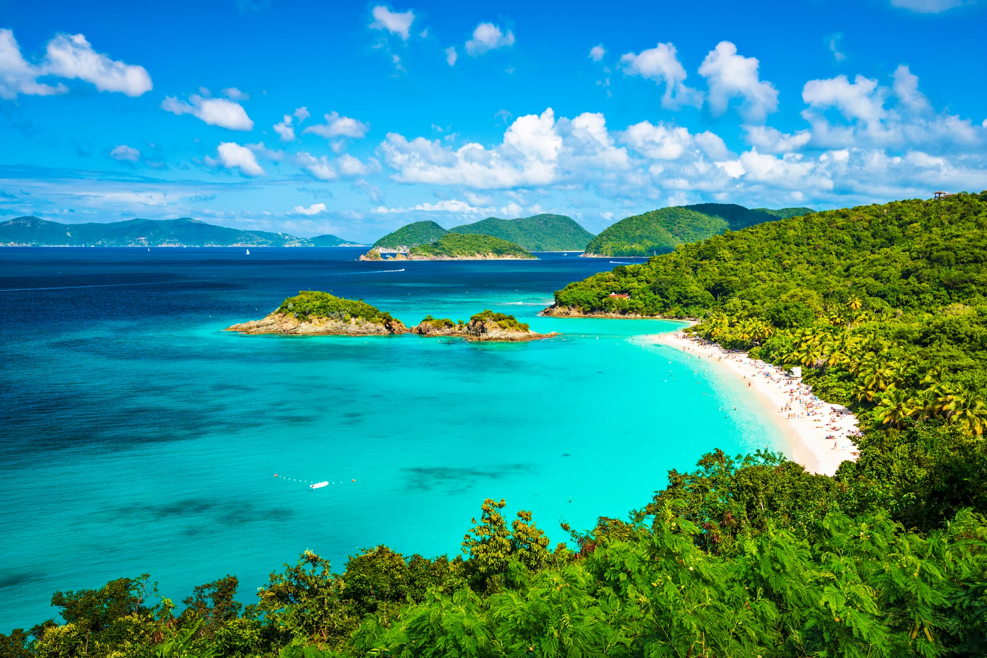 Bright blue sea surrounded by vibrant greenery in the US Virgin Islands