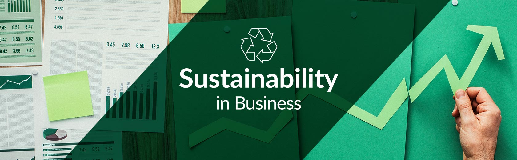Banner image for content hub page: Why is Sustainability in Business a Key Strategy?