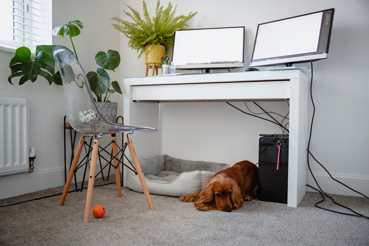 image for content hub page: [object Object]