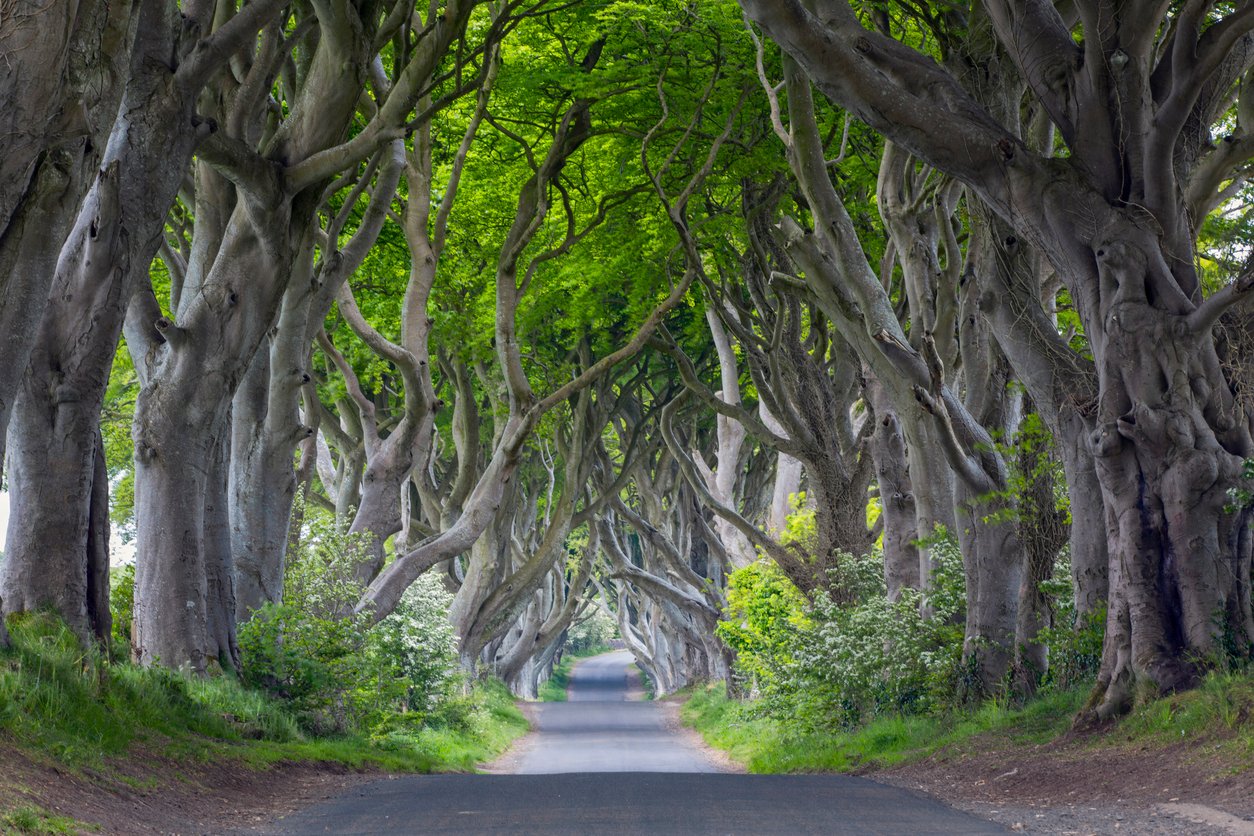 image for content hub page: [object Object]