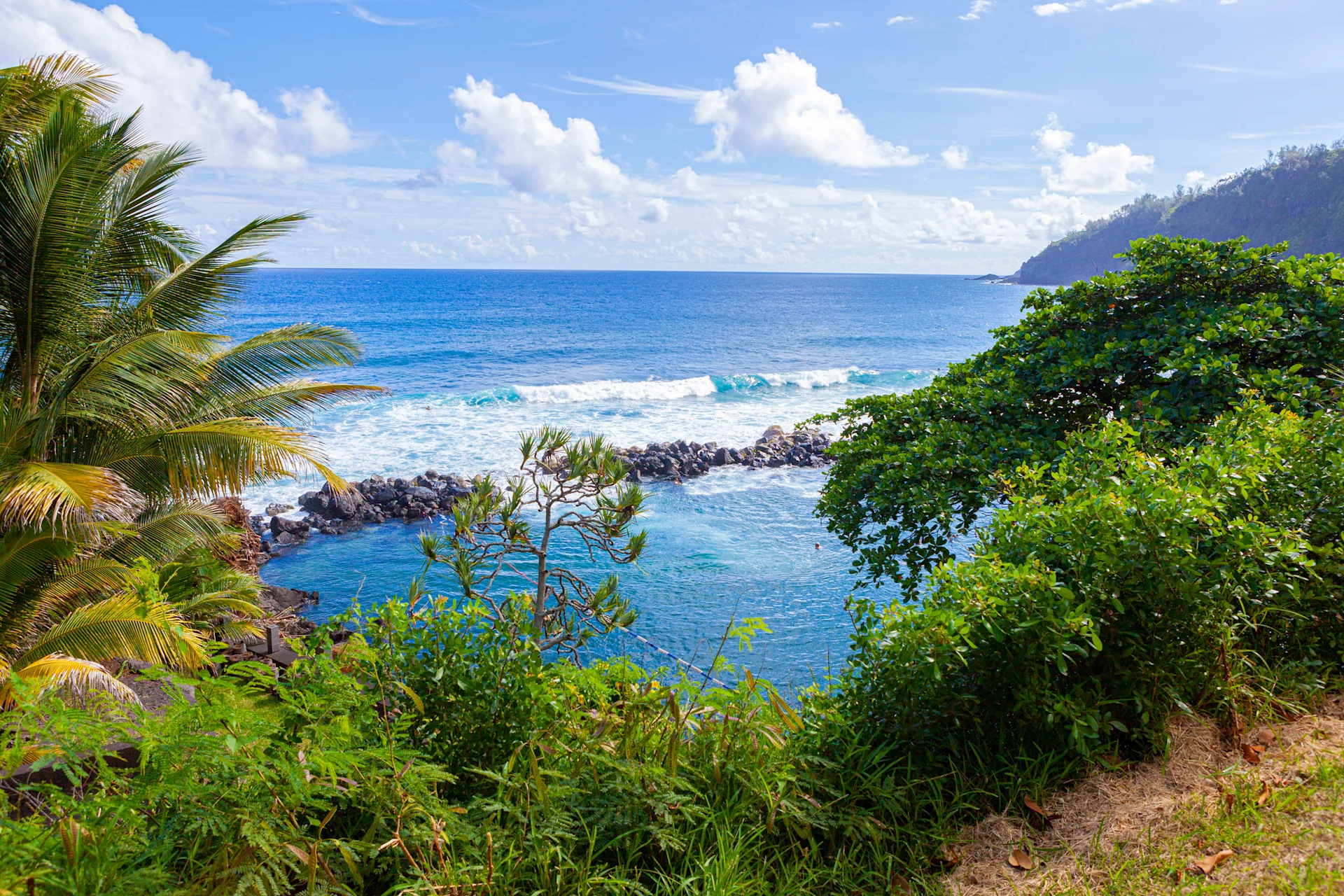 Trees and sea surrounding Réunion Island