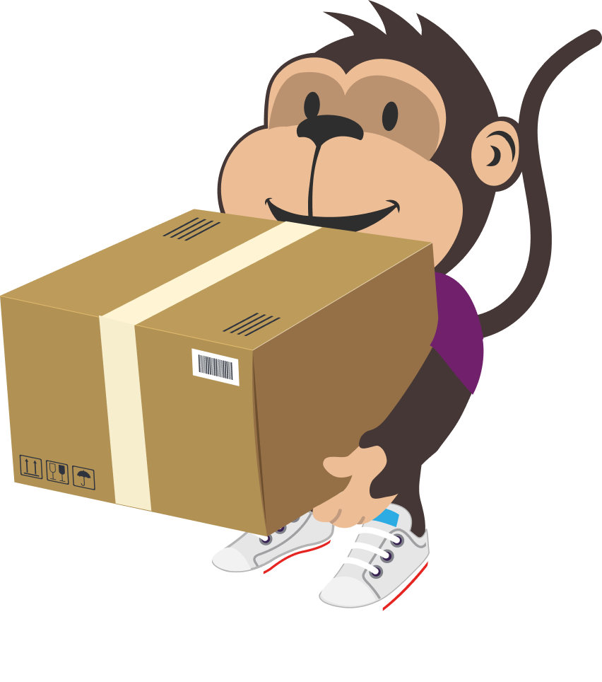 What is domestic shipping?