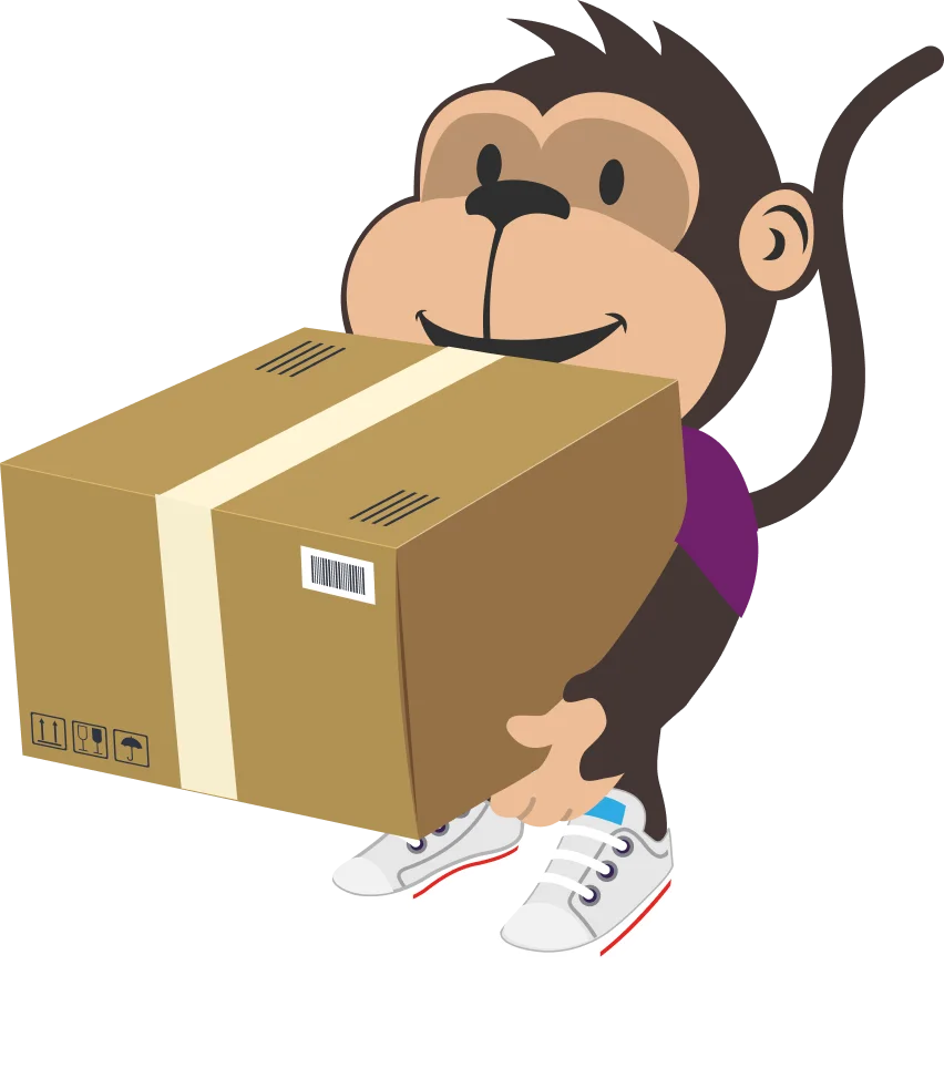 What is domestic shipping?