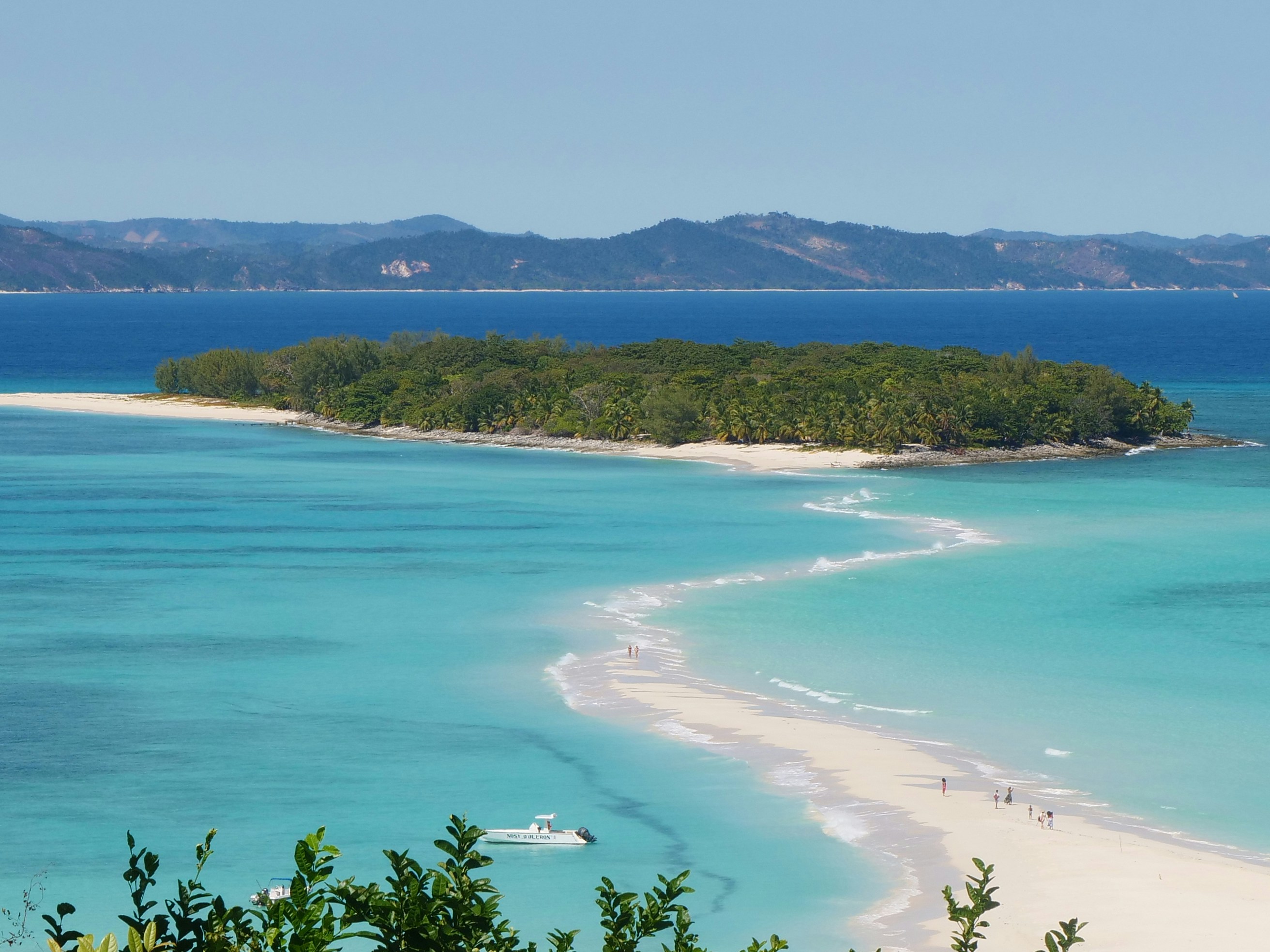 A beach with blue water and trees photo