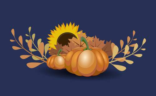 Thanksgiving Shipping Guide