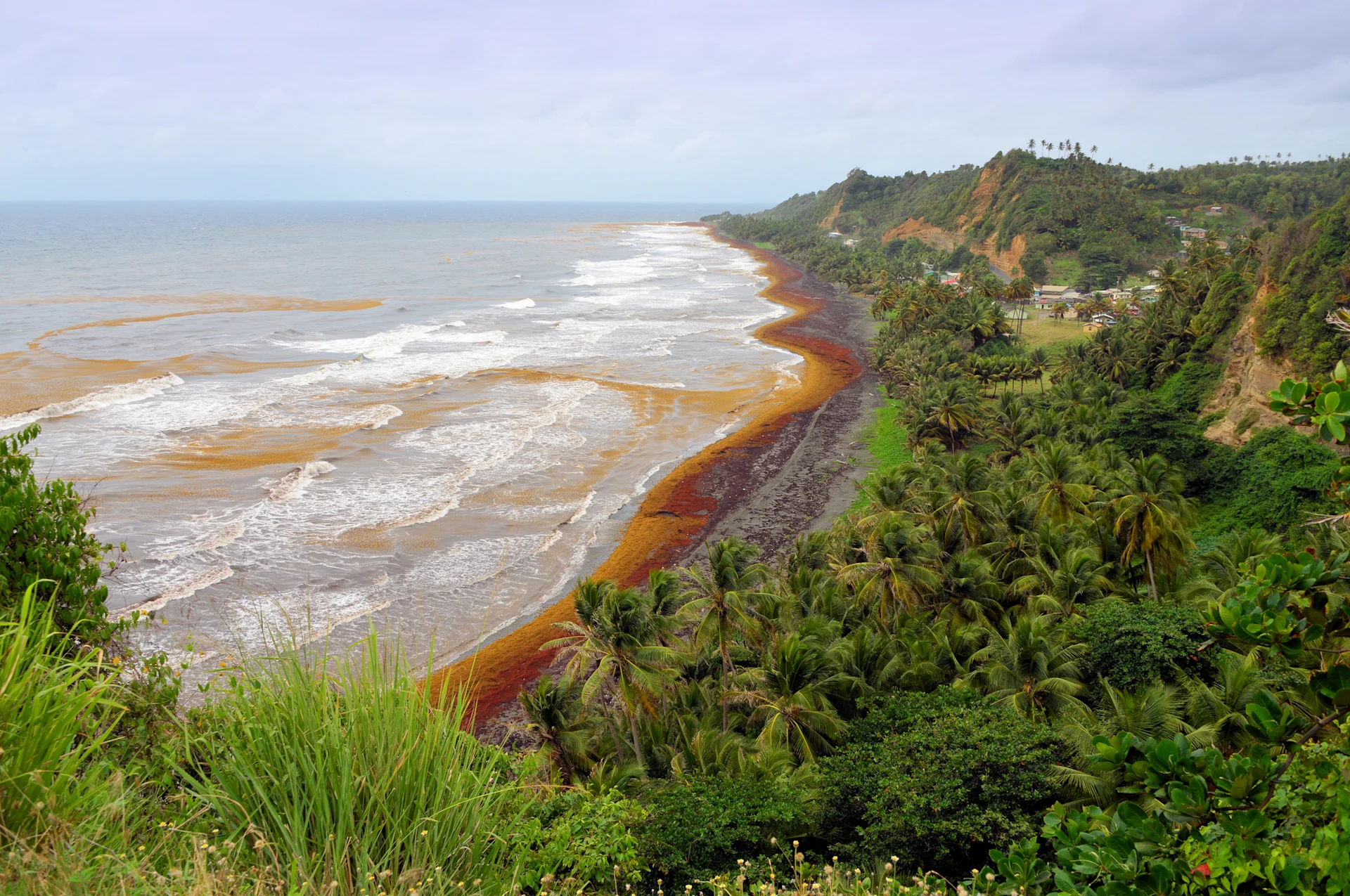 St. Vincent forest and red waters.