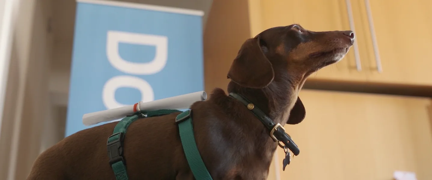 https://www.docsend.com/wp-content/uploads/2015/04/21-dachshund-delivery.png