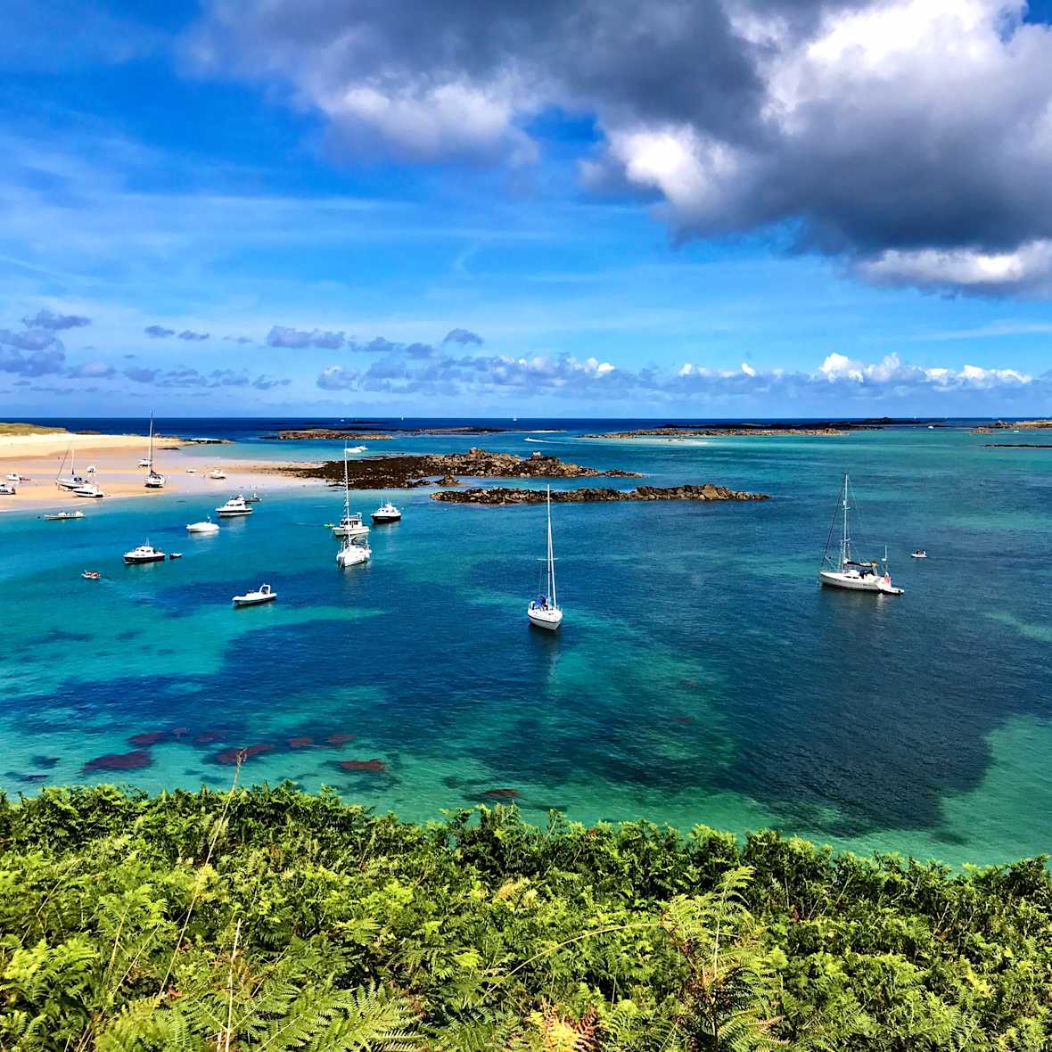 sailboats