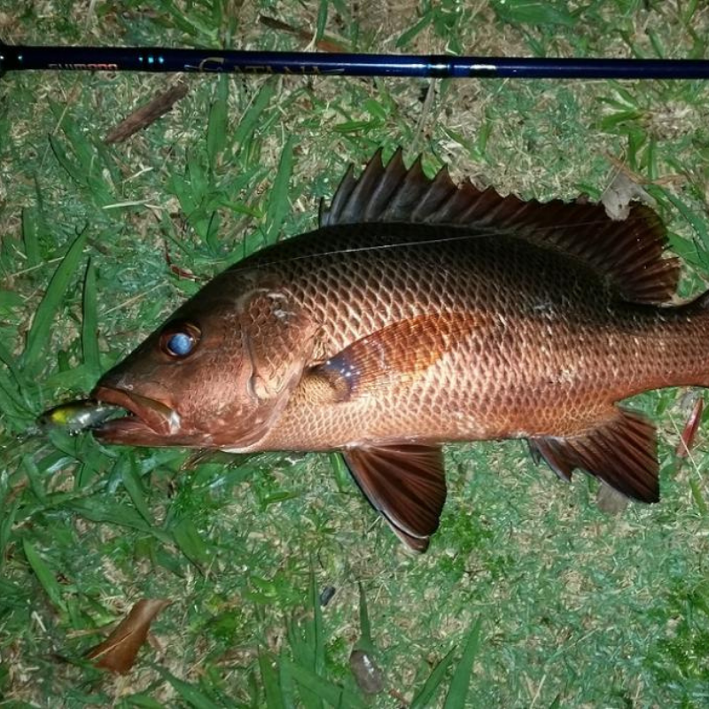 night fishing
