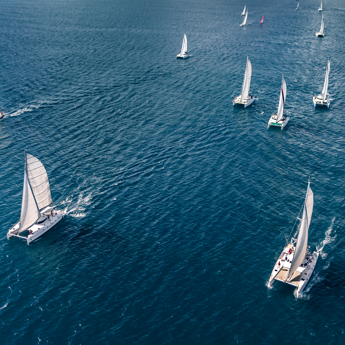 Are catamarans easier to sail?